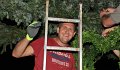 Binden am Donnerstag 113